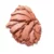 51 : Dried Rose